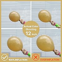 Vista 119 de PartyWoo Nude Balloons 100pcs 12 Inch Apricot Boho Fall Neutral Latex Helium Balloons for Graduation Wedding Anniversary Birthday Boy Baby Shower