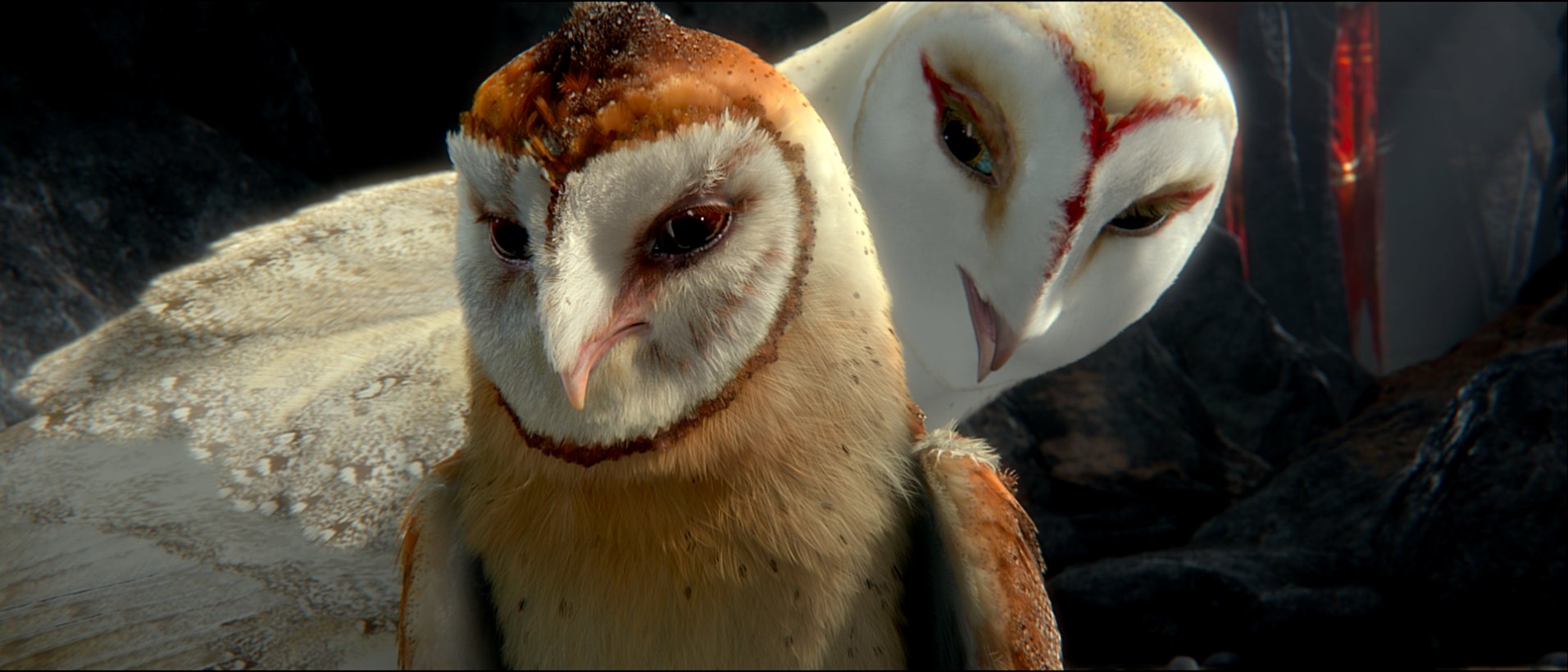 Buy Legend of the Guardians-Owls of Ga'hoole (Two-Disc Blu-ray 3D / Blu