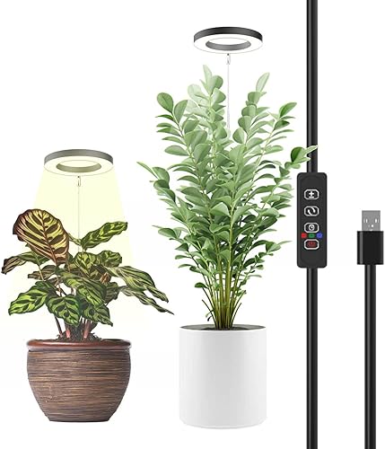 Actualizado 2023 Luz de cultivo de plantas, luces LED de espectro completo para plantas de interiorluces de plantas para cultivo en interiores,