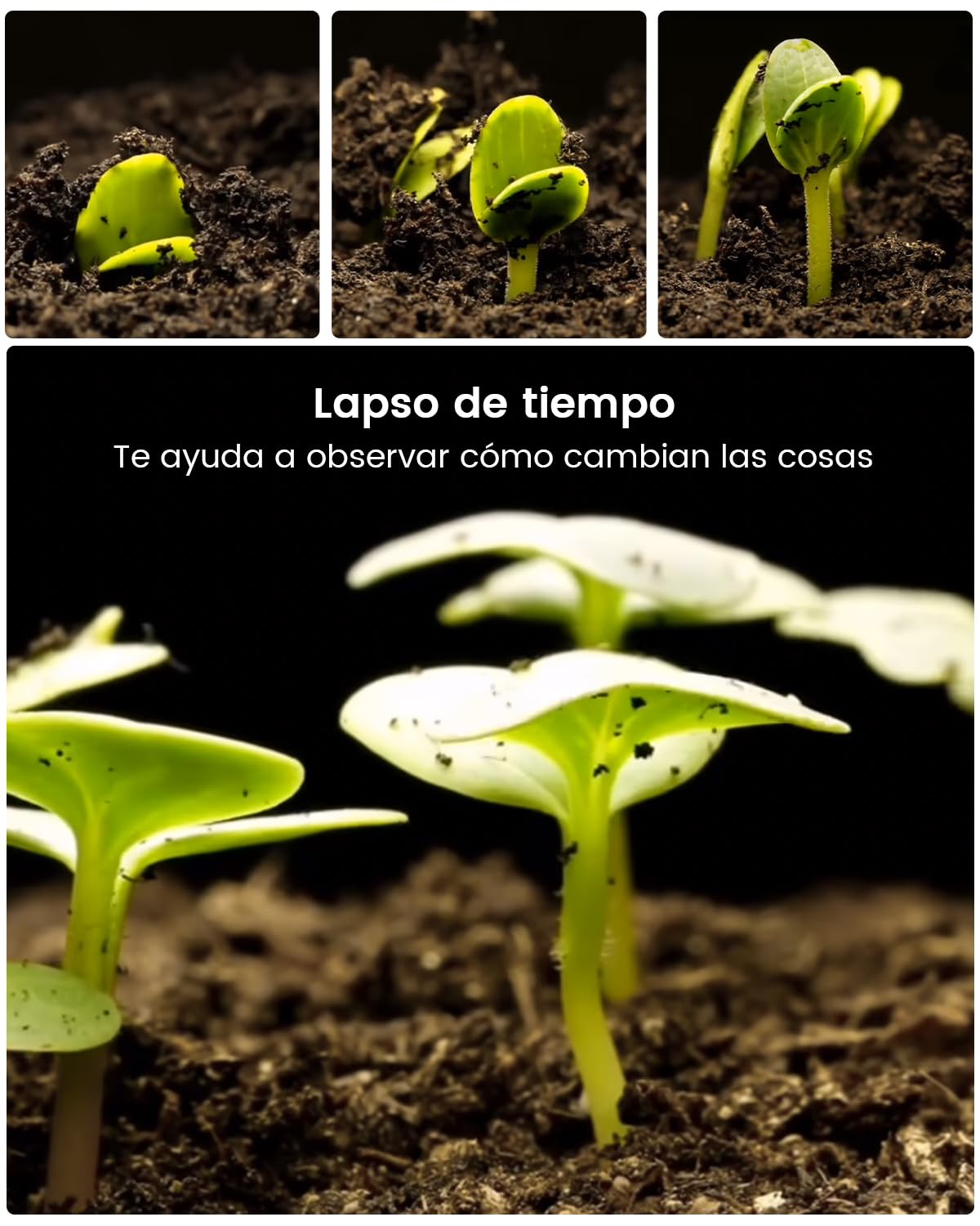 usogood - Cámara de Caza Nocturna 4K 48MP, Cámara Fototrampeo con Visión Nocturna Infrarroja, Trampa Fotográfica con 8 Pilas y Tarjeta de Memoria 32GB, Cámara de Fototrampeo Impermeable para Exterior