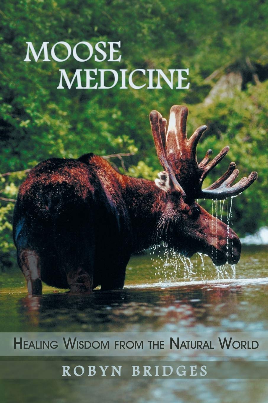 Moose Medicine: Healing Wisdom from the Natural World