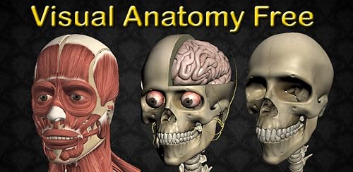 Visual Anatomy Free