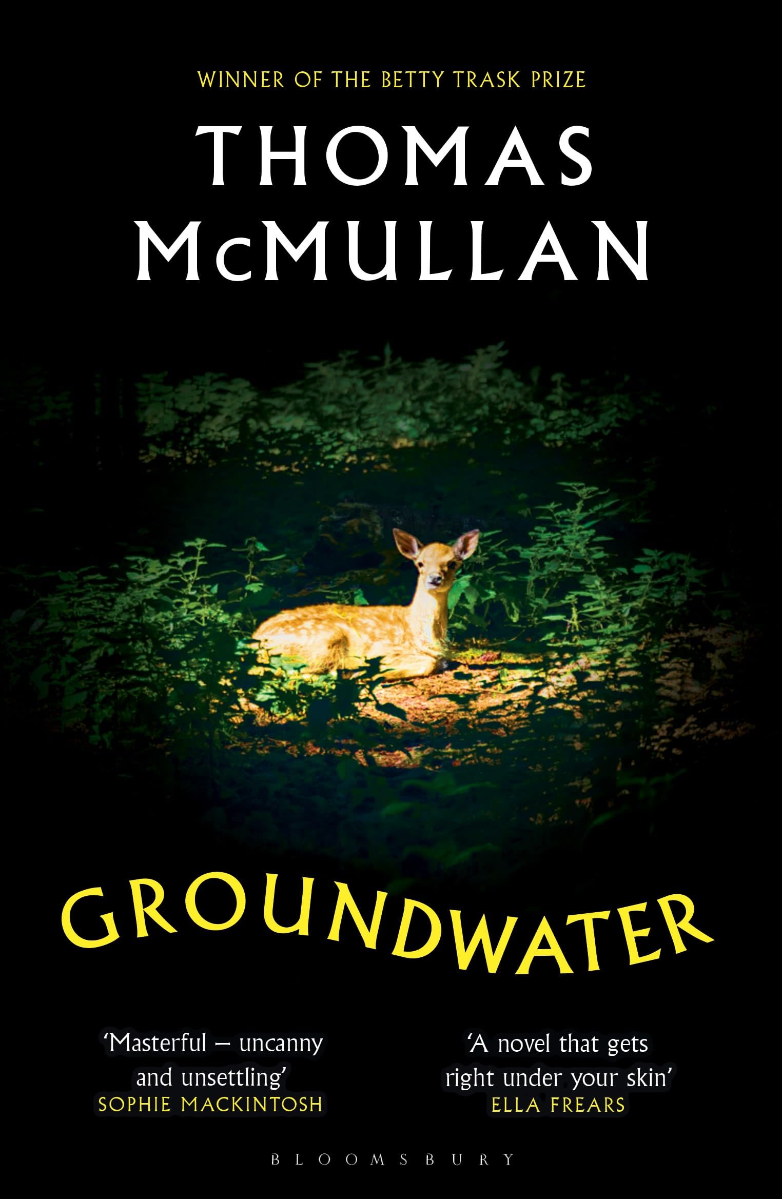 Groundwater: ‘Complex, chilling, masterful' Financial Times