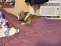 Review Image by Anastasia Braucht Anastasia Braucht