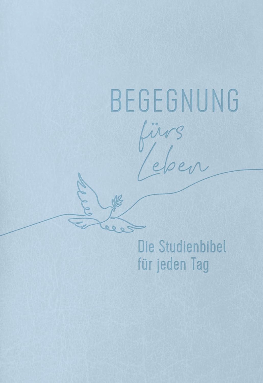 Bibelreiter Set Rosa Mit Gold - 90 Tabs Für Studienbibel Großdruck