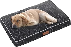 Ellie-Bo Hundebett für Innen, Matratze weich und waschbar, Bezug Ellie-Bo Hundebett für Innen, Matratze weich und waschbar, Bezug