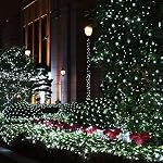 Lomotech Éclairage des chaînes solaires en extérieur - 2 Boîte Total 66ft 200LED Solaire Fée Lumières Imperméable 8 Modes Twinkle lumières pour l'extérieur, patio, jardin, cour, fête, mariage, décoration d'arbre (blanc)