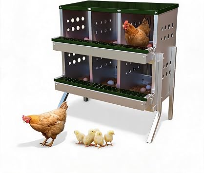6-Compartment Heavy Duty Chicken Nesting Box with Legs
