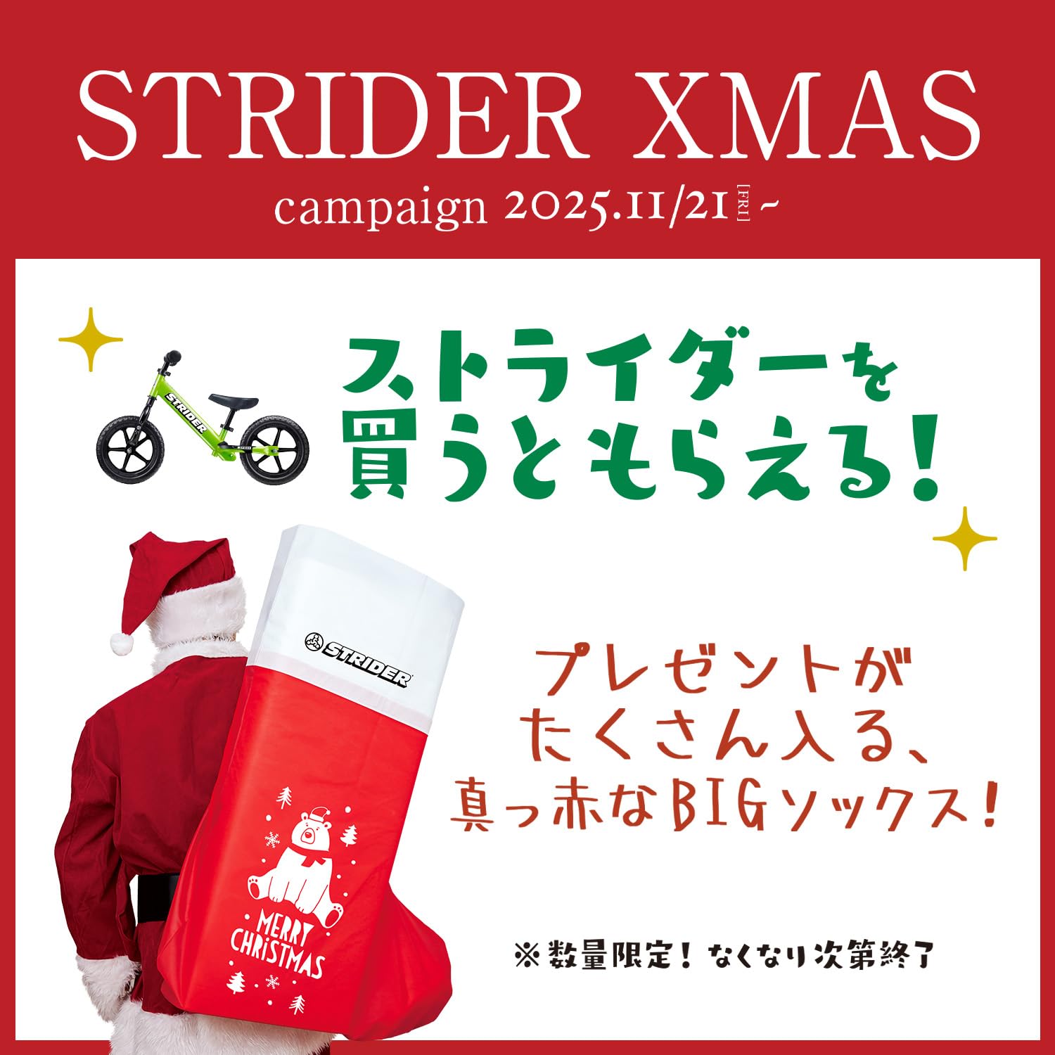 Amazon.co.jp: ストライダー 14x (STRIDER 14x) 2025年 クリスマス