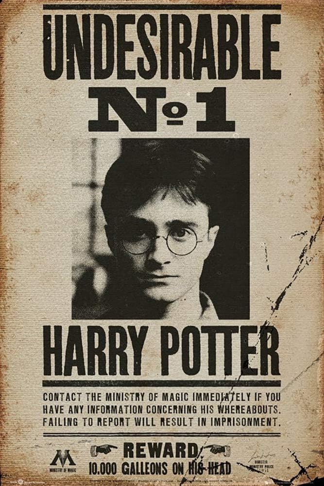 GB eye LTD, Harry Potter, Undesirable No 1, Maxi Poster, 61 x 91.5 cm, Wood, Multi-Colour