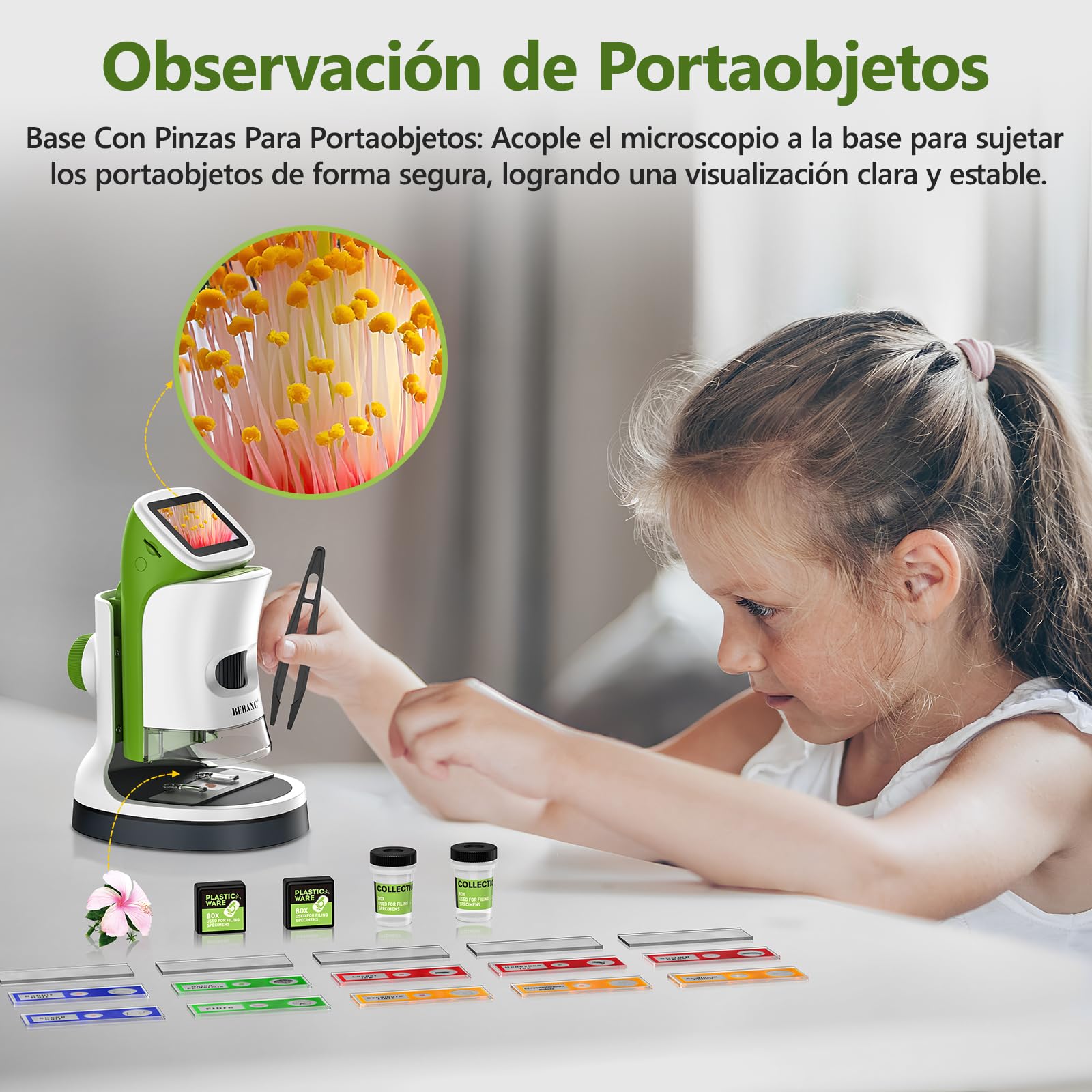 Miniscopio de mano desmontable para niños, pantalla HD 4K de 2 pulgadas, microscopios digitales de juguete de bolsillo 1000X para niños y niñas de 4 a 12 años, kit de tallo científico portátil con