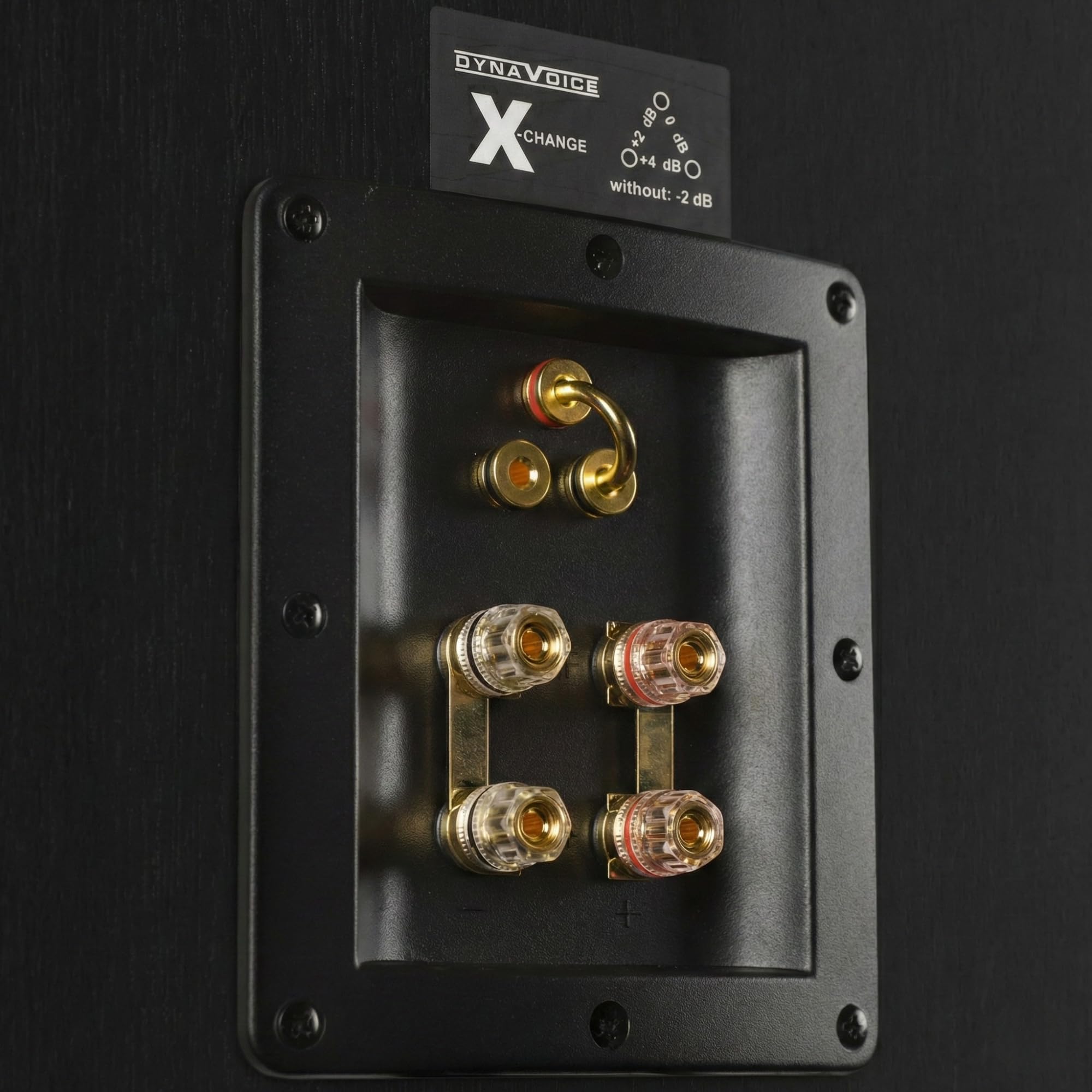Dynavoice Definition DC-5 Centerlautsprecher Eiche 5 25 Zoll Kevlar Tieftöner Bändchen Hochtöner Soft Dome 36Hz–32kHz 92dB 180W Max Bi Wiring Mittelton Feinabstimmung Heimkino Surround Premium Klang