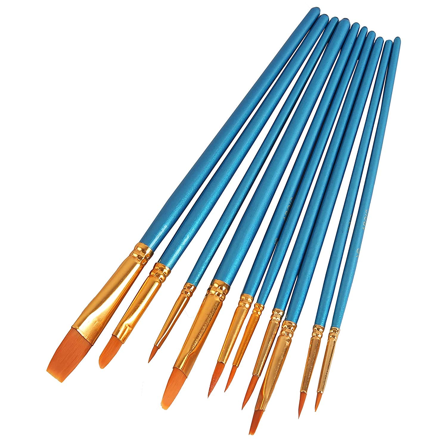 Chitrakala 10Pieces Round Pointed Tip Nylon Hair Brush Set with 1 Paint