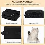 Ver la foto 4