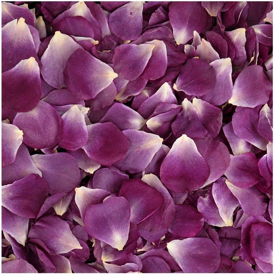 Ultra Violet Passionate Purple Preserved Freeze Dried Rose Petals - Sale on 15 cups. Made in the USA. No Tariffs.