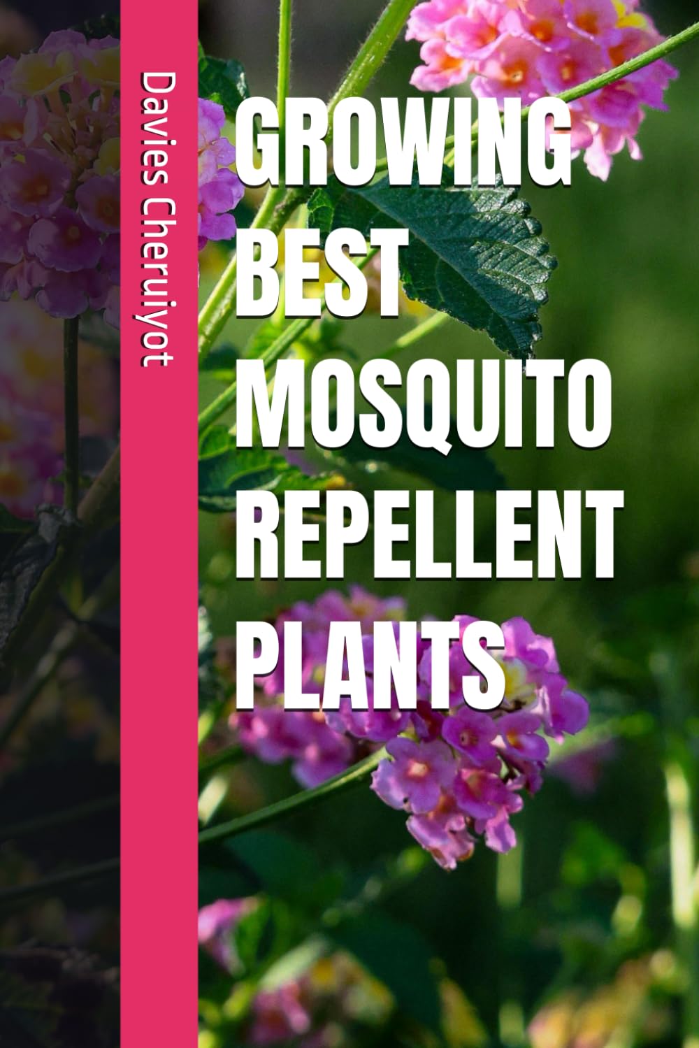 Growing Best Mosquito Repellent Plants