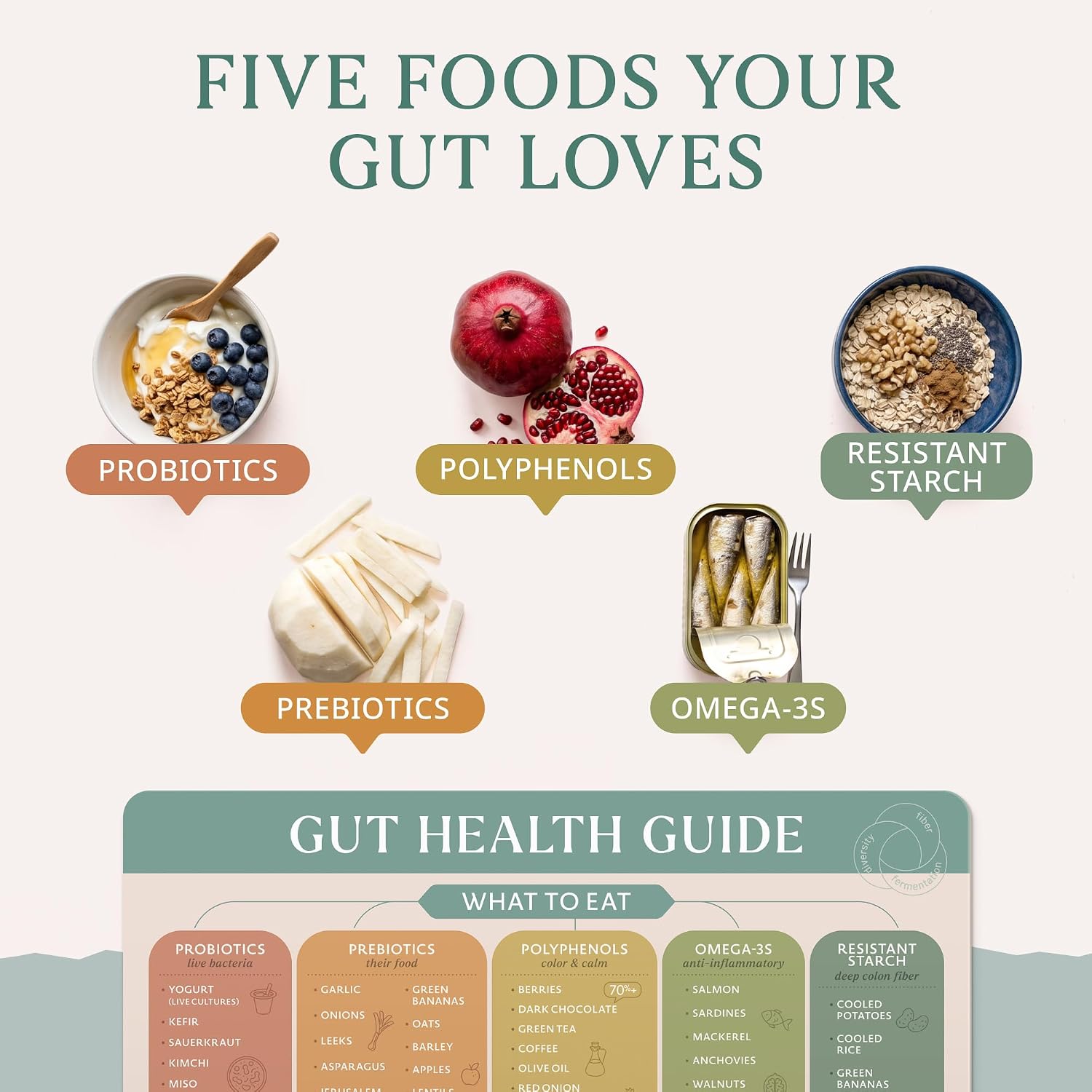 Gut Health Foods Chart Magnet - Probiotic Prebiotic Fiber Fridge Guide image 4