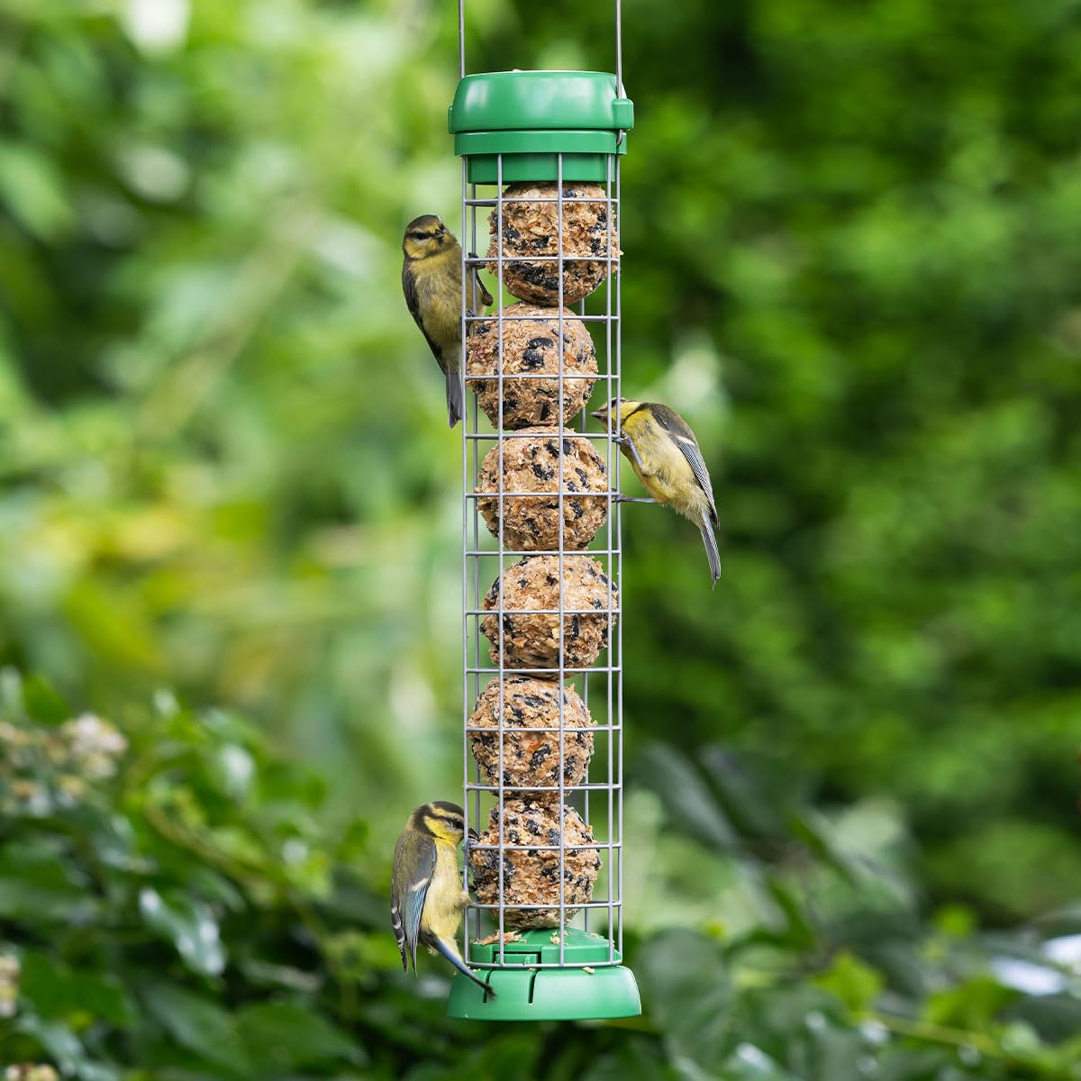 Mangiatoia Per Uccelli Jacobi Jayne Bird Lovers Con Seme Di Niger - Capacità 0,5L, Facile Da Pulire