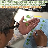 Vista 4 de Token de Buena Suerte de Trébol de Cuatro Hojas Real, Preservado, 1.25", Incluye Adorno de Metal (Atrapasueños)