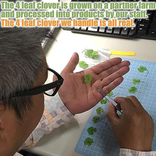 Miniatura 4 de Token de Buena Suerte de Trébol de Cuatro Hojas Real, Preservado, 1.25", Incluye Adorno de Metal (Atrapasueños)