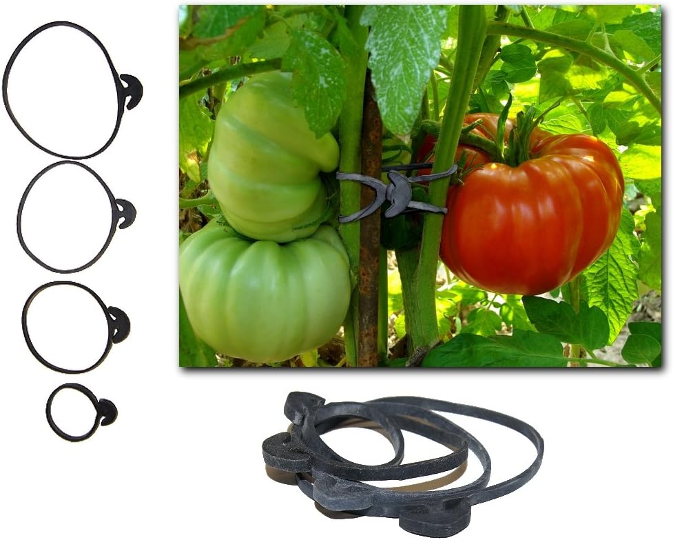 Henrich Anchor Bands -Tomato Plant Vine Support Rubber Band Ties - (6) of Each Size (24 Total)