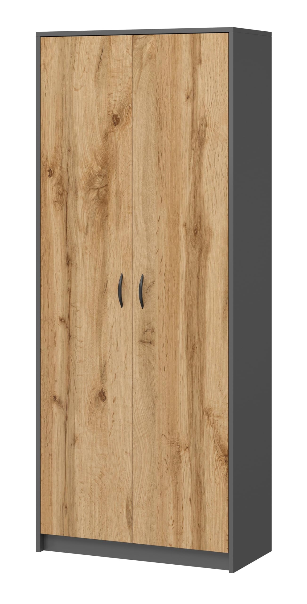 Armoire Multifonction pour la Maison, Armoire Pratique pour aspirateur et balais, 180 x 74 x 35 cm (Graphite/Chêne Wotan)
