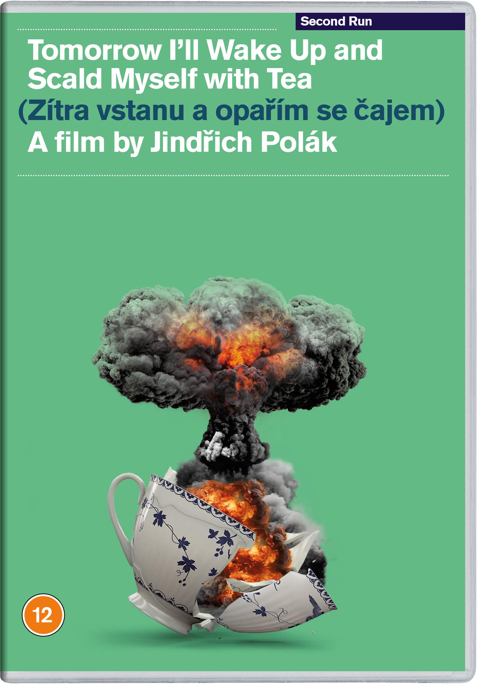 Tomorrow I'll Wake Up and Scald Myself with Tea [DVD]