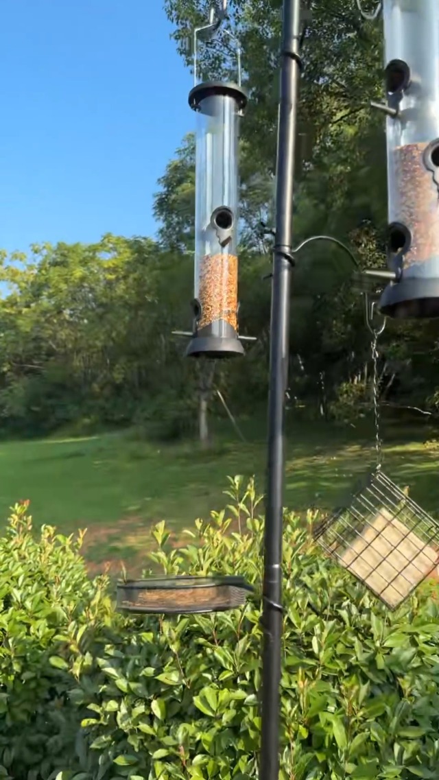 Amazon.com : Kodope Bird Feeding Station, 90.55in 6-Hook Wild Bird