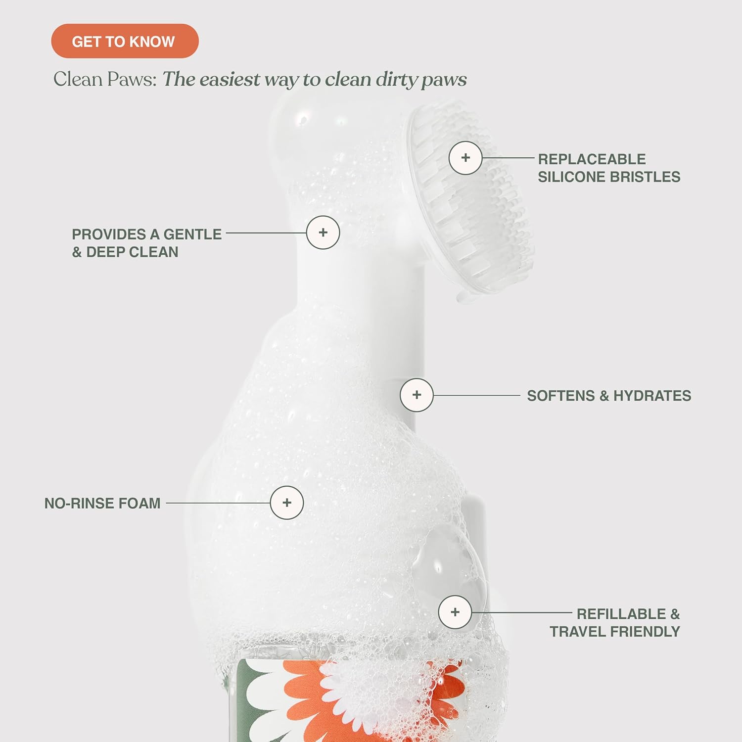 Dandylion Clean Paws Refill | No-Rinse Dog Paw Cleaner & Dog Paw Washer | Fragrance-Free, pH Balanced Foaming Cleanser with Silicone Bristle Brush | Designed for All Breeds & Sizes | 10 fl oz