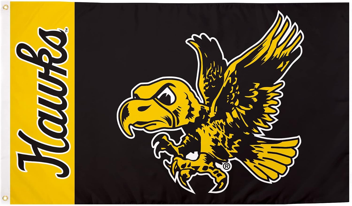 Western Michigan University WMU Broncos Flag - Desert Cactus Design, 3x5 Ft, 100D Polyester, Officially Licensed - View #10