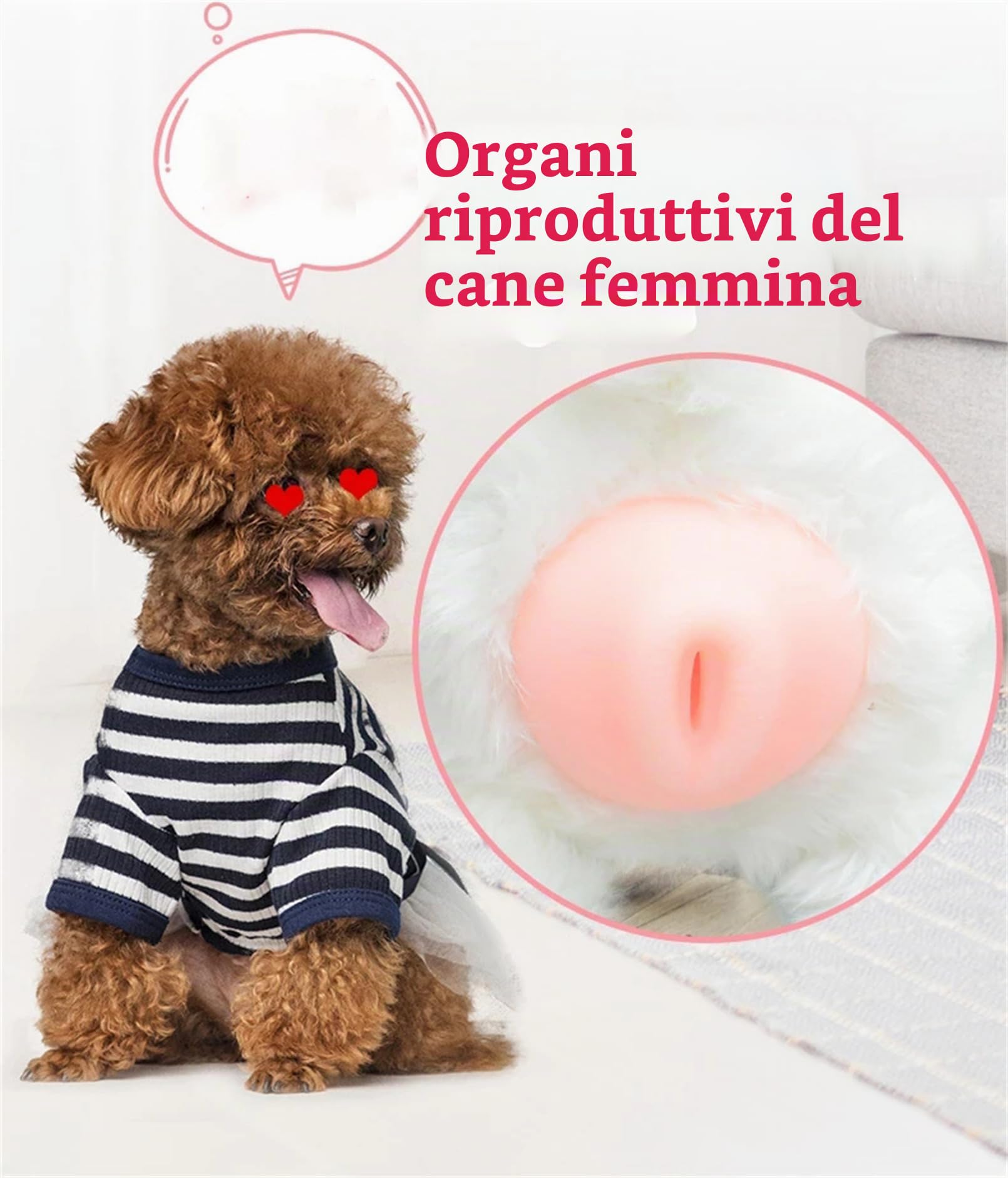 Giocattolo di accoppiamento per cani maschi, cani giocattoli per dormire interattivi, simulazione in silicone ansia sollievo giocattolo per cani, giocattolo per cani per cagnolini, peluche 18cm/7.1in