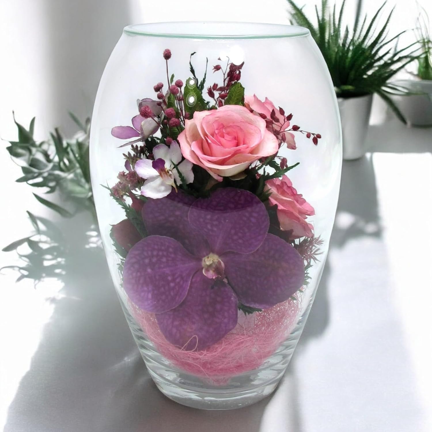 Fiora Flower | Premium Preserved Roses in Glass Vase | Lasts 5 Years | Long-Lasting Real Roses for Christmas, Weddings, Birthdays