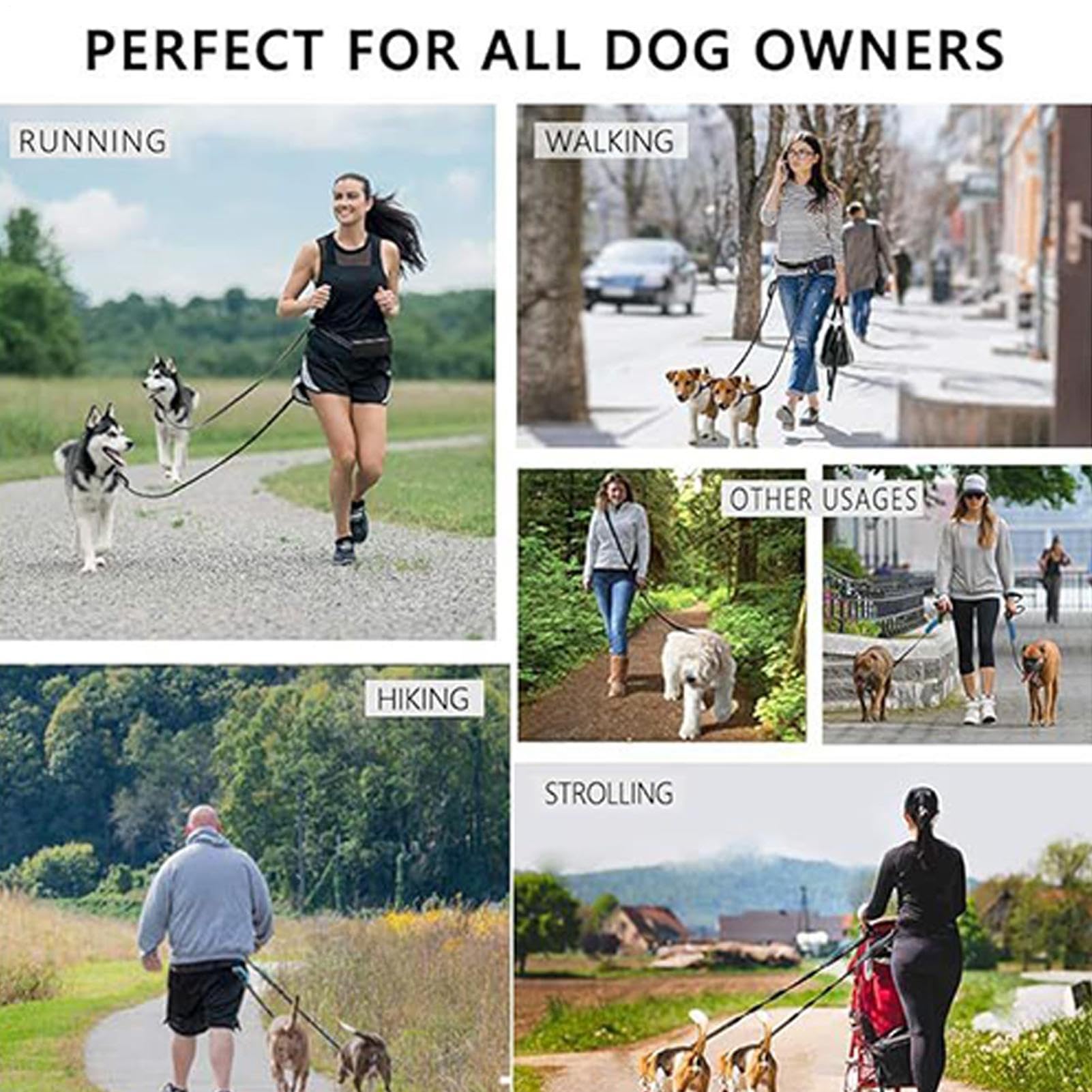 Corde de Promenade pour Chien Longe Chien réfléchissante réglable
