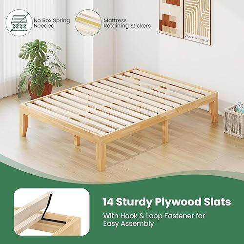 Miniatura 57 de KOMFOTT Base de cama de plataforma de madera de 14 pulgadas, tamaño individual, base de colchón de madera con marco de madera de goma, fuerte Marrón