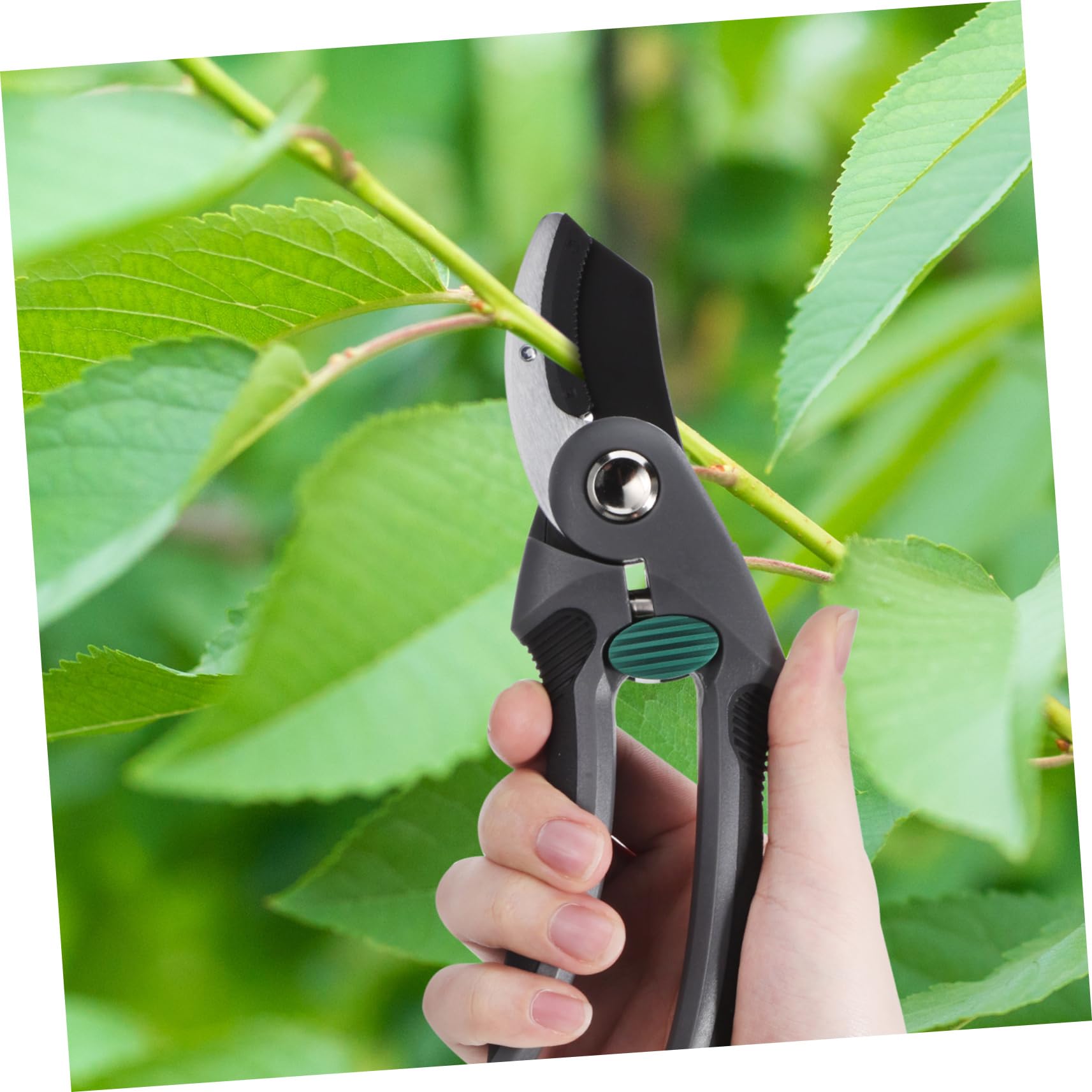 Forbici da Potatura per Alberi Impugnatura Ergonomica Taglienti in Acciaio Blocco di Sicurezza e Molla per Uso Efficiente in Giardino e Agricoltura