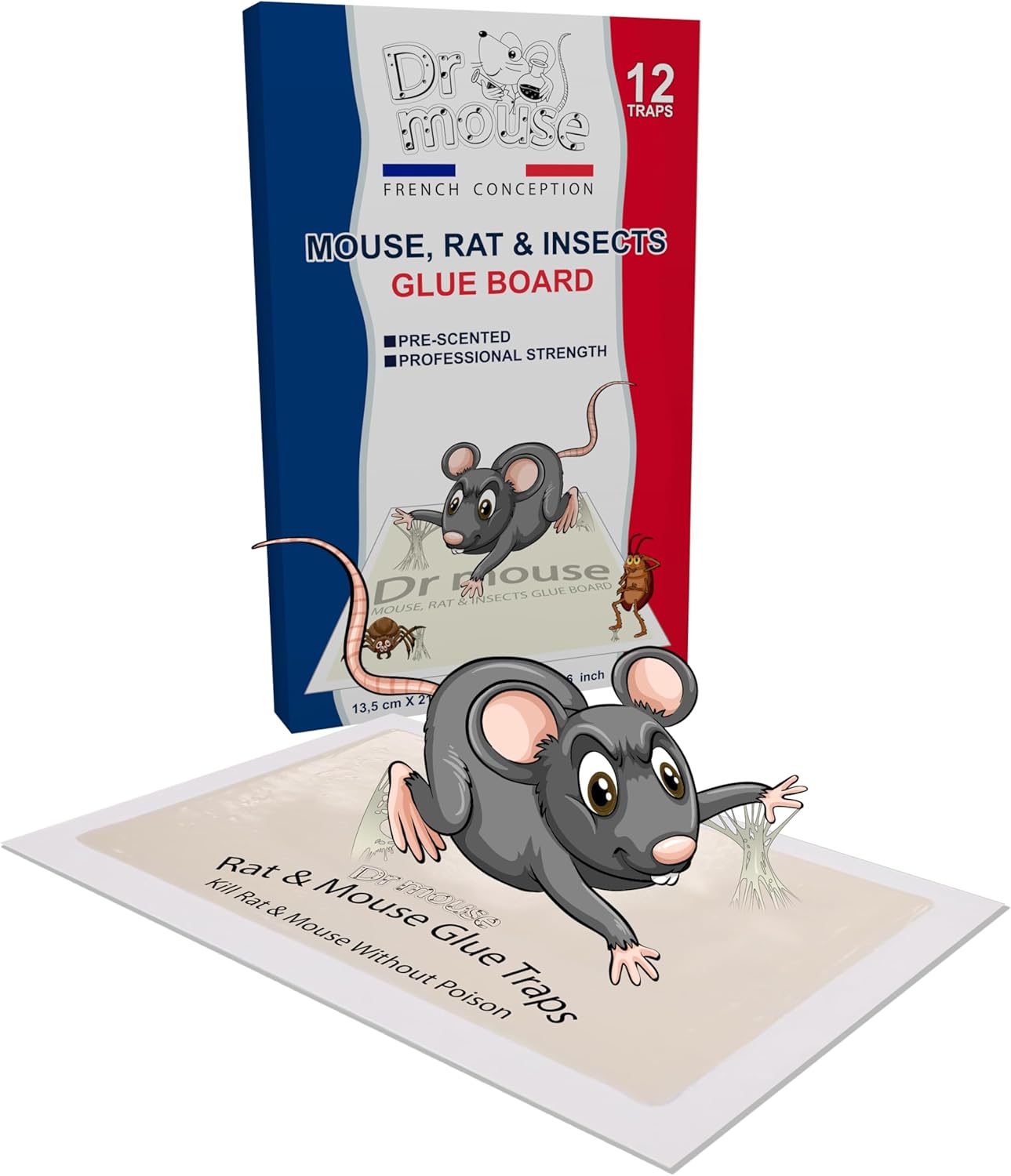 Amazon.com : Dr Mouse - Mouse & Insect Glue Trap - Pack of 12 Mouse ...
