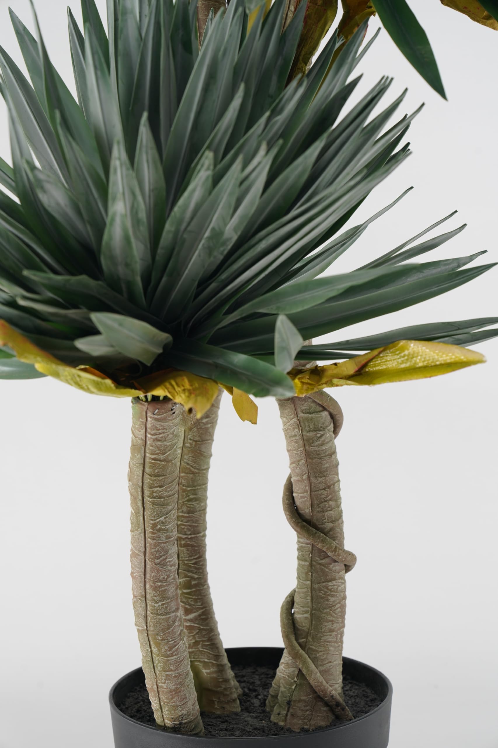 Yucca Pianta Grassa Sintetica da Arredamento Realistica 165 cm, Foglie PVC, per Spazi Interni, Abitazioni Residenziali e Attività Commerciali