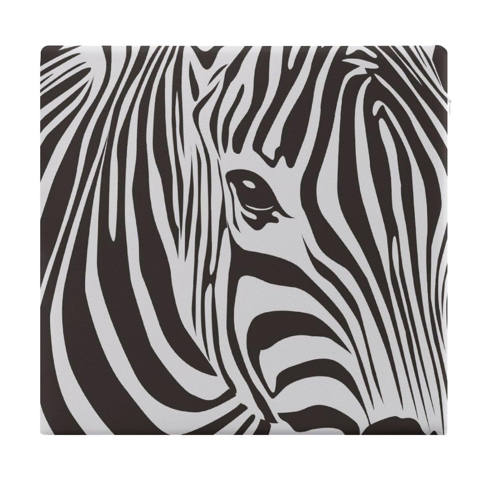 JZemdybill Chair Pad, Zebra Stripes Seat Pad, Square Chair Cushion for Yoga Living Room Balcony