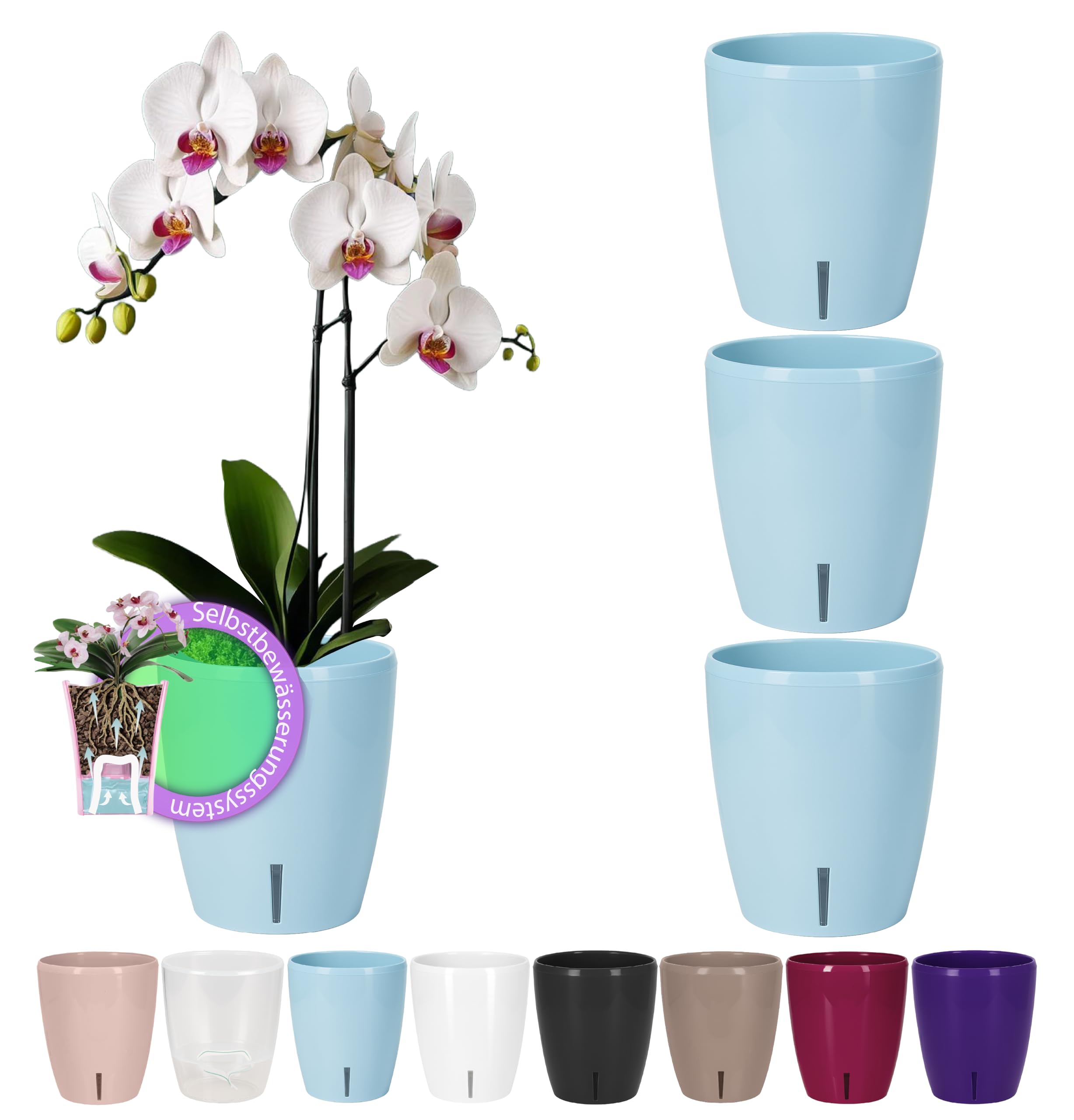 Santino Maceta para Orquídeas Ø 12cm Maceta Autorriego con Sistema de Mecha e Indicador de Nivel de Agua para Interior (Ø 12cm - 1,3L - Transparente) — view 17