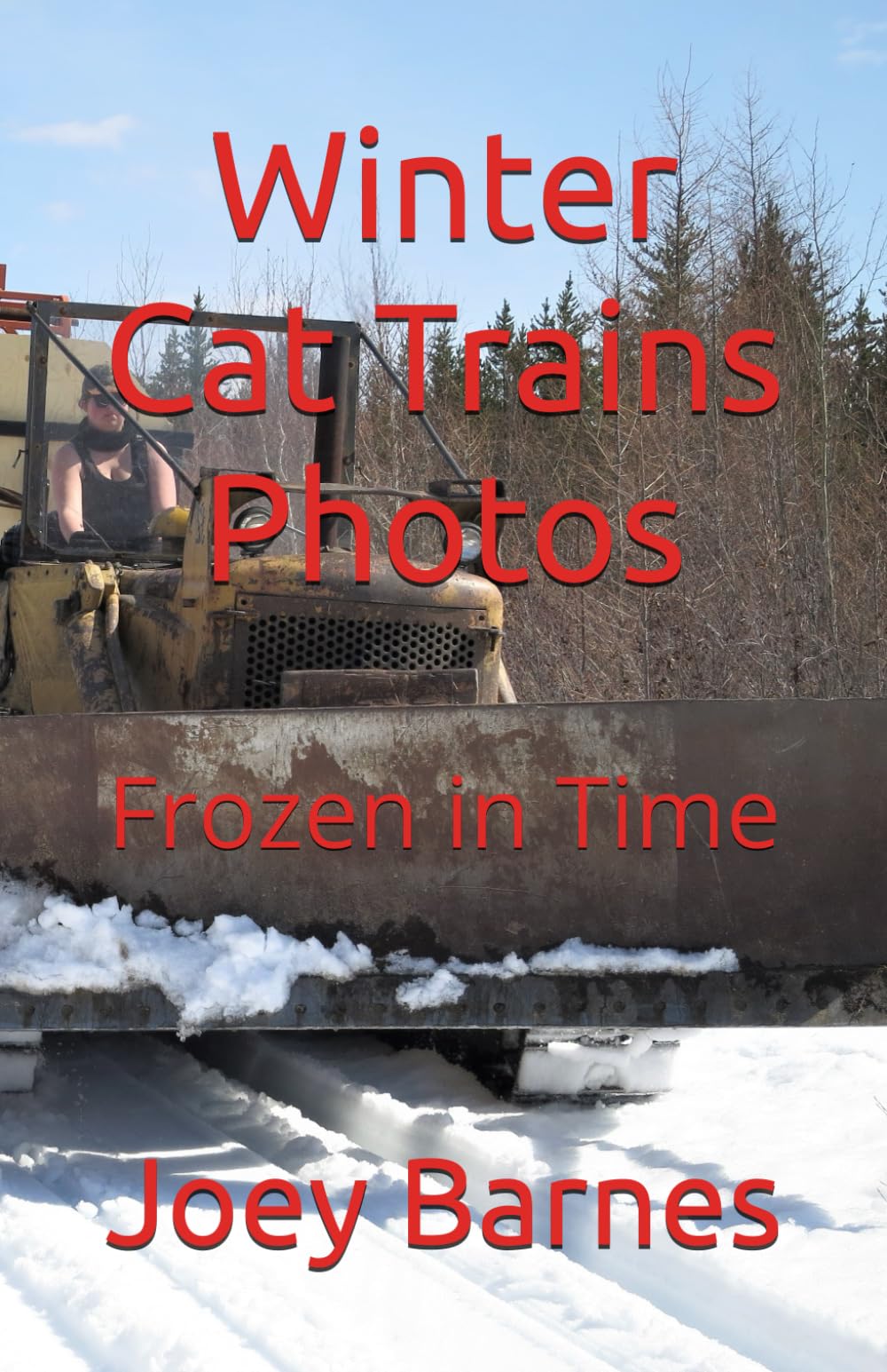 Winter Cat Trains Photos: Frozen in Time (King of Obsolete's Pictorial)