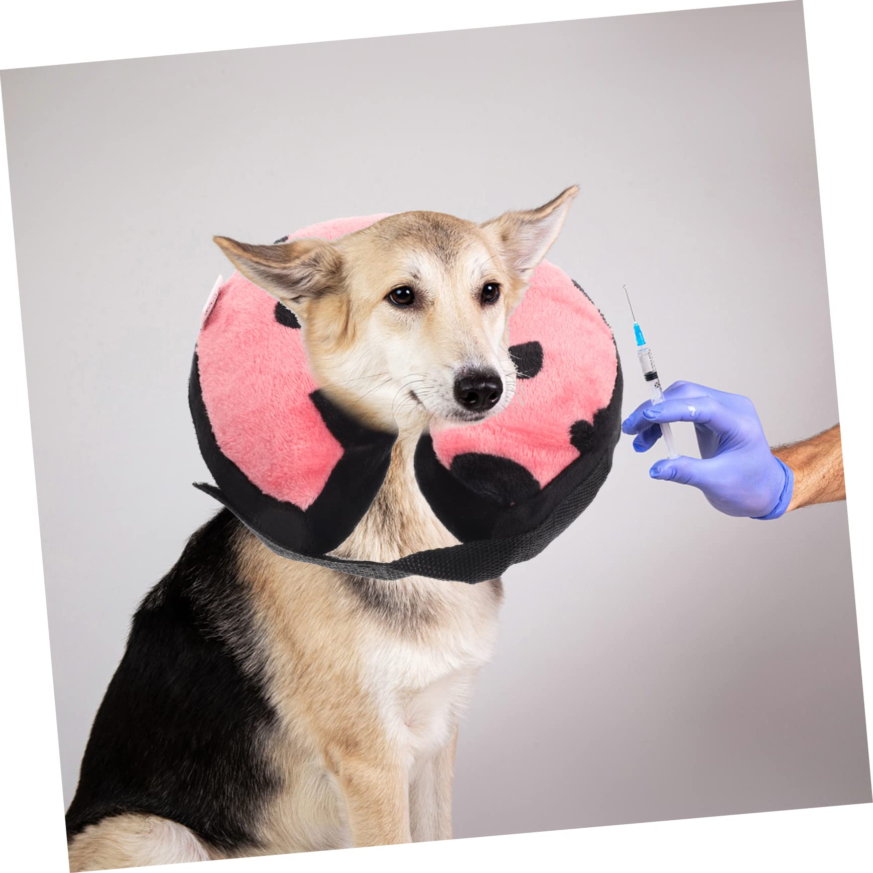 Didiseaon 2pezzi Collare Inflabile Protettivo Per Gatti Dopo Intervento Collarino Elisabettiano Per Accessorio Comfort Per Animali Domestici Design Non Invasivo e Visibilità Ottimale