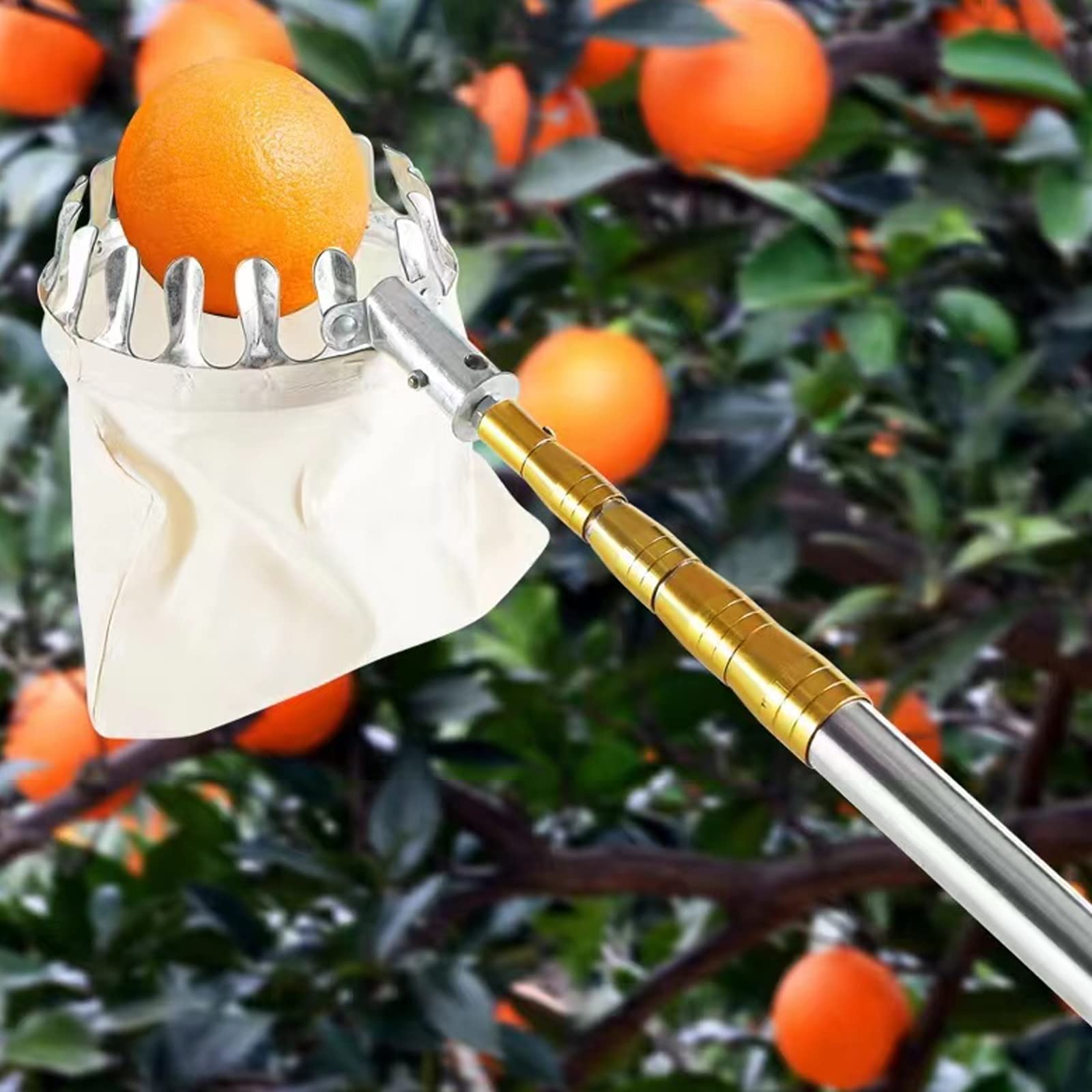 A,16 ft, Cueille Pomme Telescopique,Cueille Fruits De Verger avec Poteau en Acier Inoxydable Léger,Ramasse Fruit Portable pour Pomme, Citron,Orange Et Autres Fruits