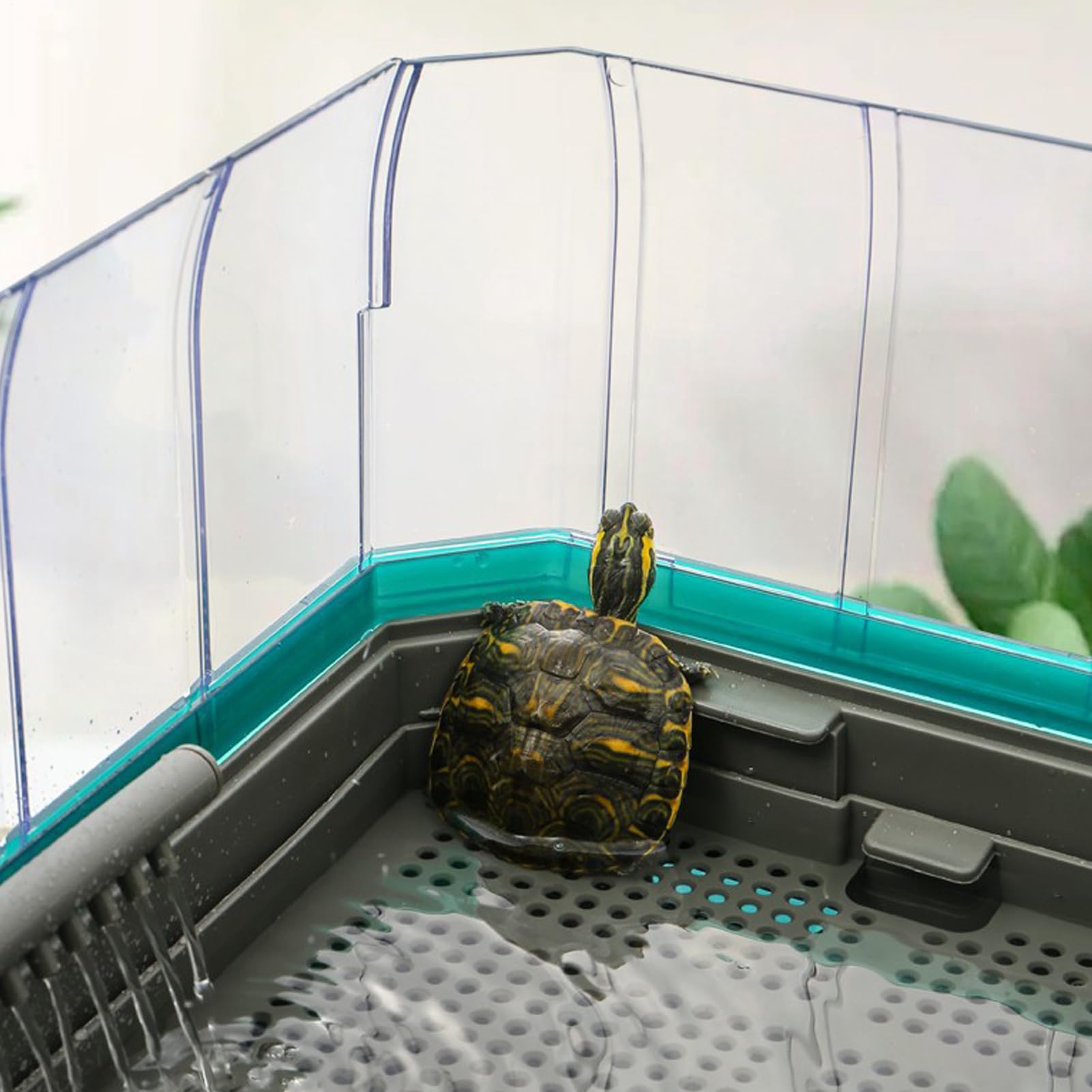 Acuario para Tortugas | Caja de Hábitat Interior Multiusos con Filtro | Hábitat Natural para Hierba Blanca