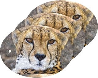 MAOBLYR Quick Absorption Household Cleaning Sponge,Double-Sided Reusable3.54x2.56In,Kitchen Tableware Multi-Purpose Cleaning 3 Sets-Adult Cheetah Animal