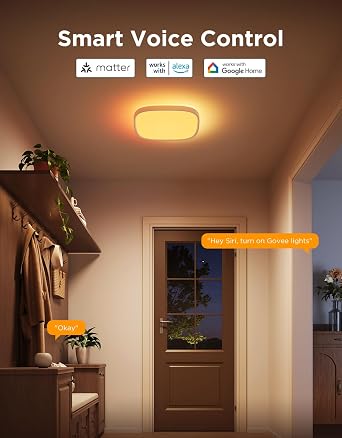 Govee Smart Ceiling Light, RGBWW and RGBIC 2400LM 12 Inch, Square 1 Pack | Works with Matter Alexa and Google Assistant, DIY Colors, 2700K-6500K Dimmable for Bedroom, Living Room