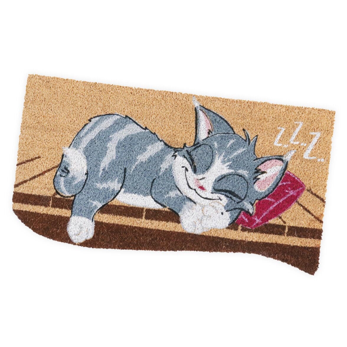 emmevi Felpudo de coco de 40 x 75 cm con parte trasera de goma antideslizante, alfombra de entrada, moderna, para puerta de gato