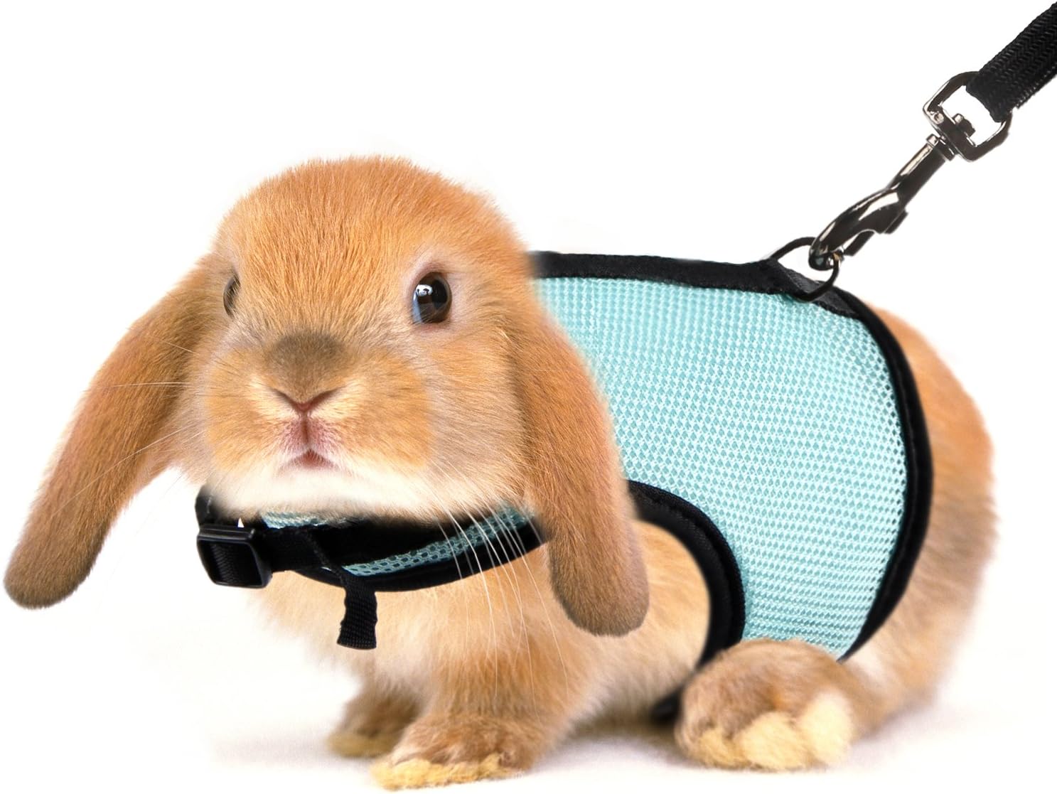 bunny harness