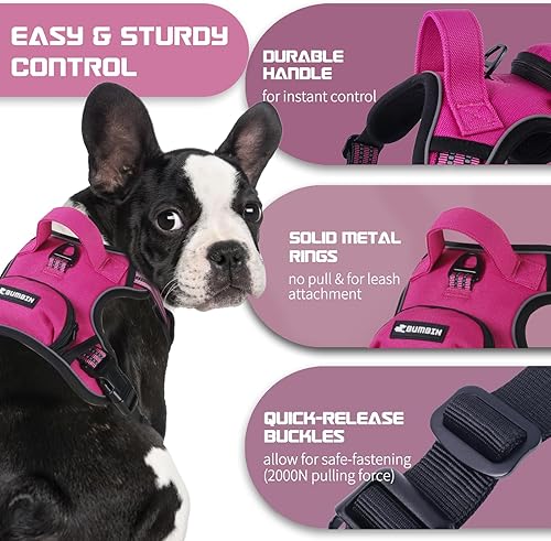 Miniatura 10 de Arnés sin tirones para perros grandes, ajustable sin estrangulamiento, chaleco para mascotas con correa para perro, arnés reflectante inteligente