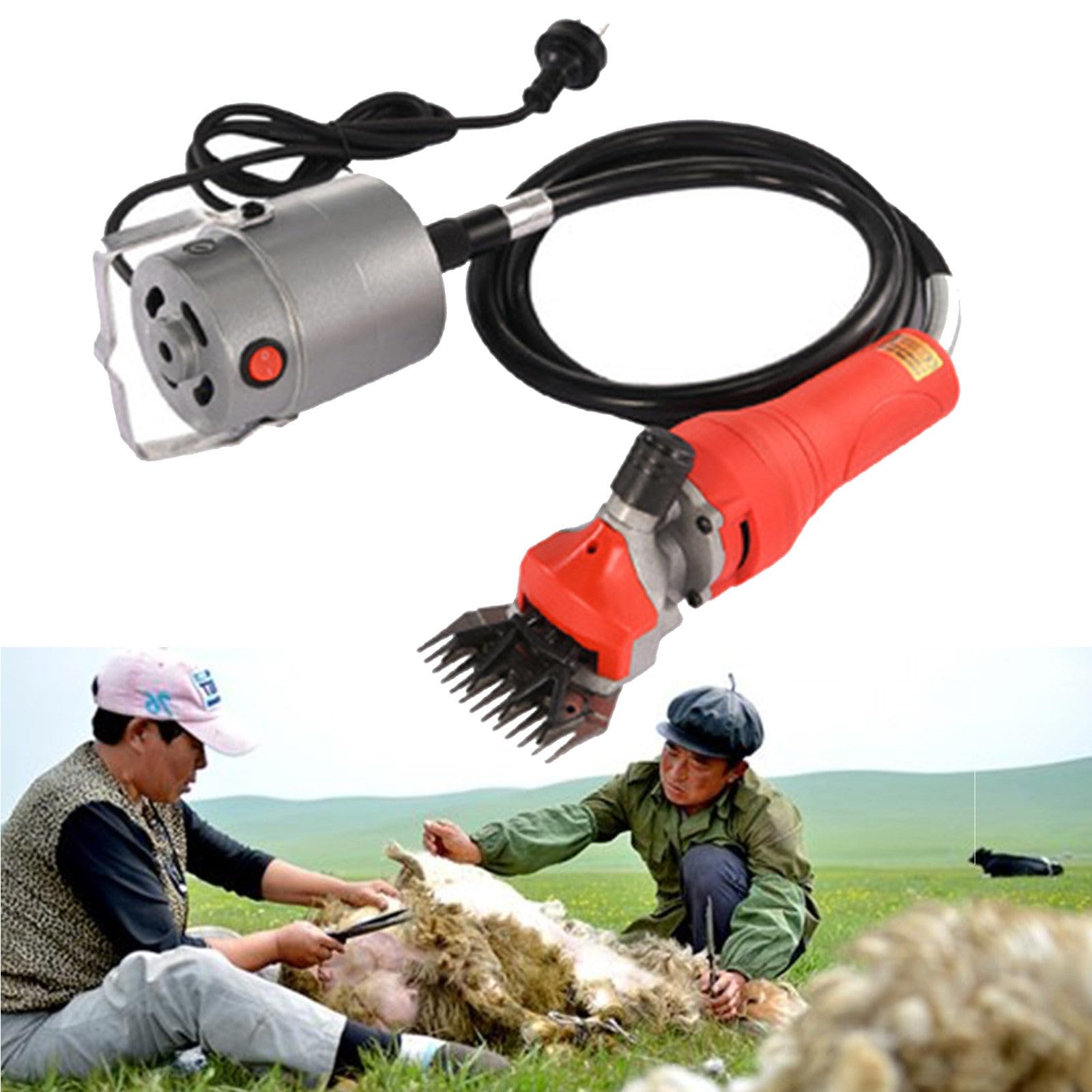 Tosatrice per Pecore Professionale 1000w Tosatrice per Toelettatura di Animali Resistente,per Radere La Lana di Pelliccia di Pecora,Capra,Bovino,Bestiame,Custodia per Il Trasporto Inclusa,Red