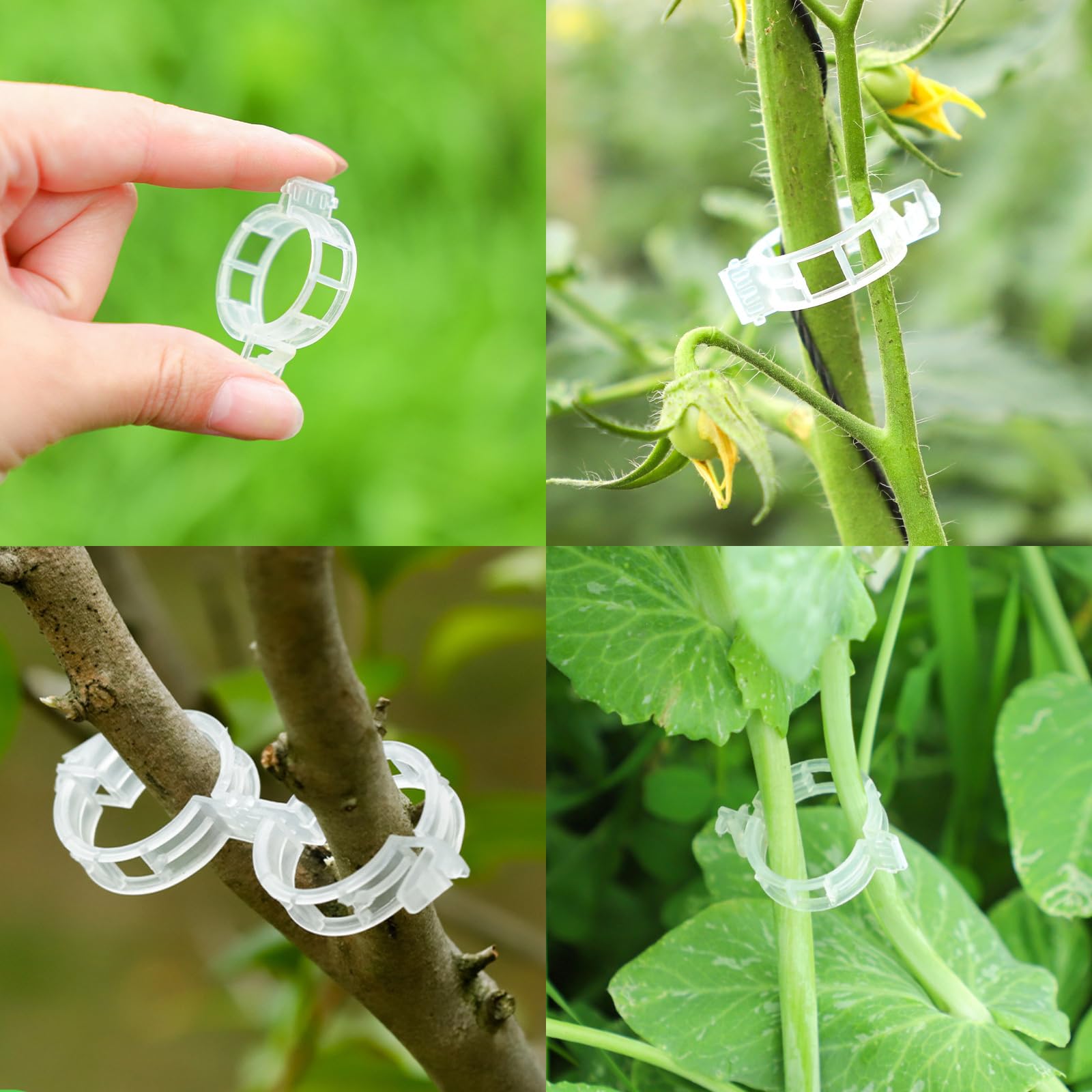 130 Clip Per Piante Da Giardino - Supporto Per Rampicanti E Pomodori - Foto 6